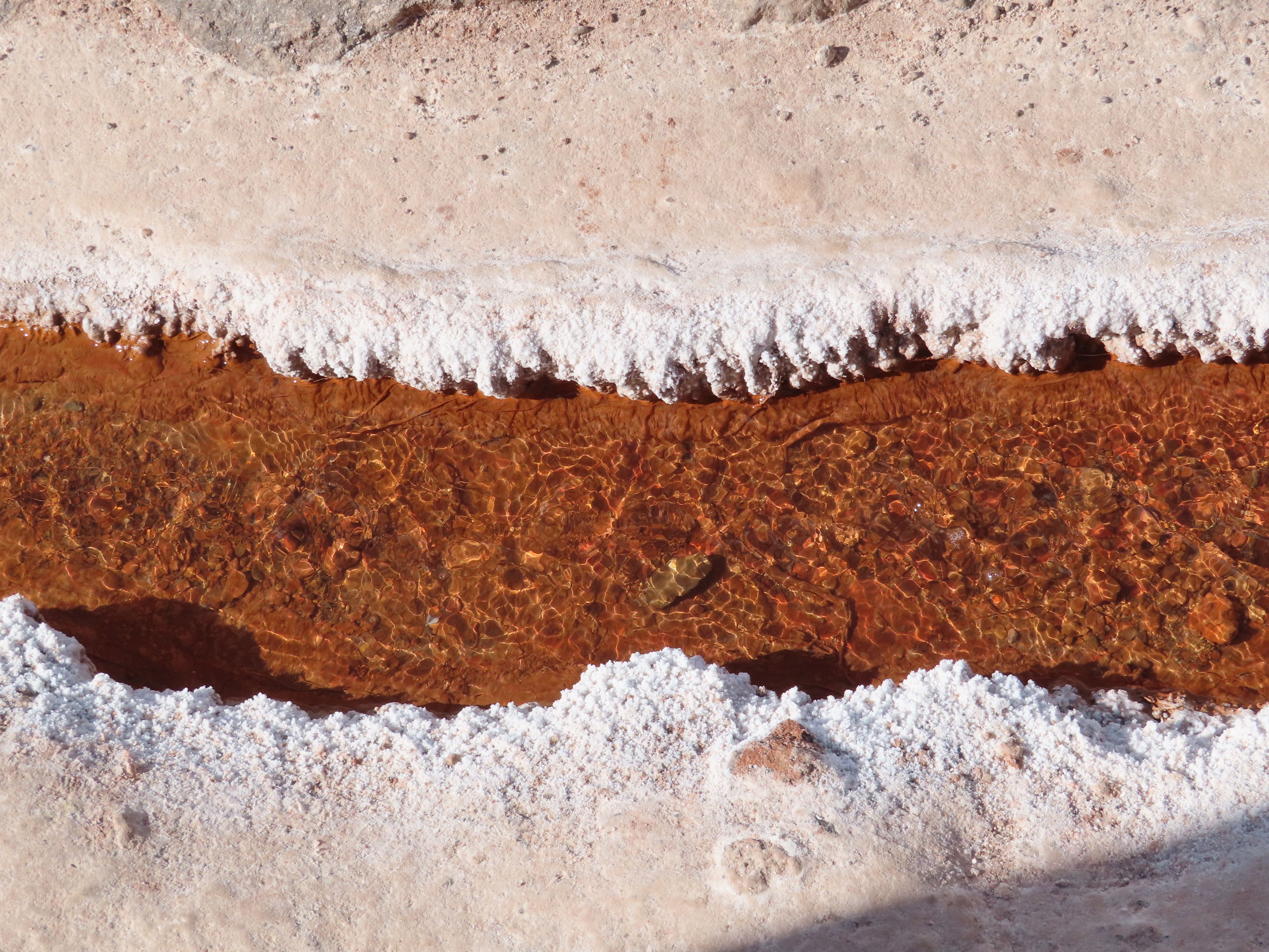 Dynamic surface tension analysis for mineral flotation